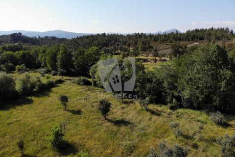 Helårsgrund i Castelo Branco, Castelo Branco, Castelo Branco - € 59.000 | Ref: H785 - foto 16