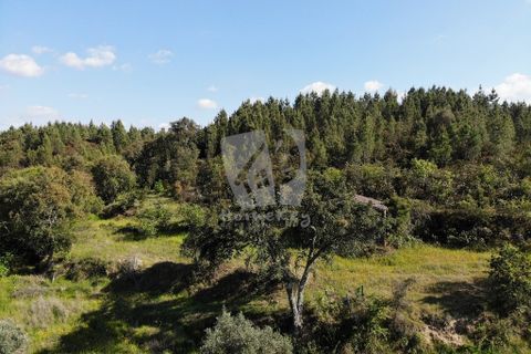 Helårsgrund i Castelo Branco, Castelo Branco, Castelo Branco - € 59.000 | Ref: H785 - foto 17