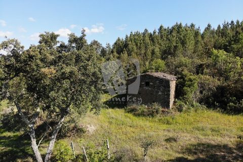 Helårsgrund i Castelo Branco, Castelo Branco, Castelo Branco - € 59.000 | Ref: H785 - foto 18