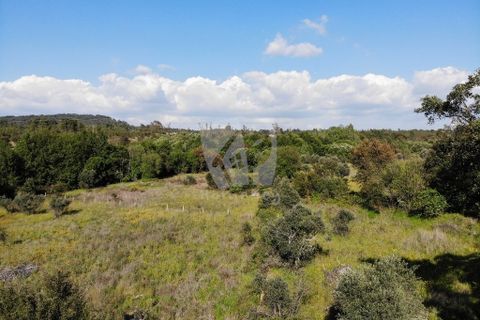 Helårsgrund i Castelo Branco, Castelo Branco, Castelo Branco - € 59.000 | Ref: H785 - foto 19