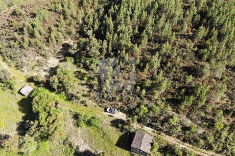 Helårsgrund i Castelo Branco, Castelo Branco, Castelo Branco - € 59.000 | Ref: H785 - foto 20