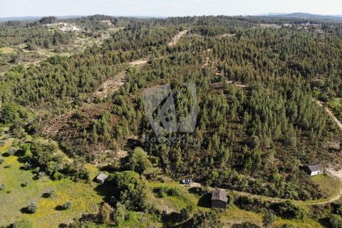 Helårsgrund i Castelo Branco, Castelo Branco, Castelo Branco - € 59.000 | Ref: H785 - foto 21