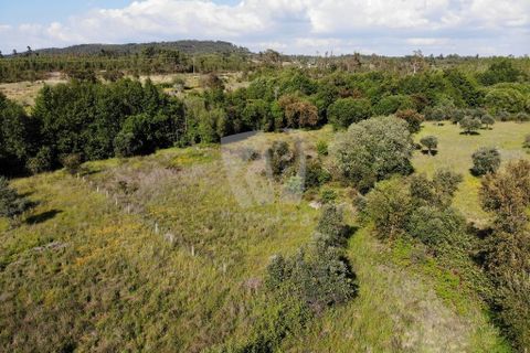 Helårsgrund i Castelo Branco, Castelo Branco, Castelo Branco - € 59.000 | Ref: H785 - foto 22