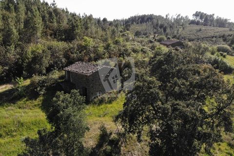 Helårsgrund i Castelo Branco, Castelo Branco, Castelo Branco - € 59.000 | Ref: H785 - foto 23