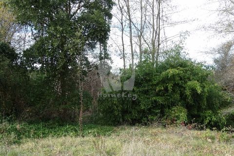 Helårsgrund i Castelo Branco, Castelo Branco, Castelo Branco - € 59.000 | Ref: H785 - foto 33
