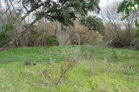 Helårsgrund i Castelo Branco, Castelo Branco, Castelo Branco - € 59.000 | Ref: H785 - foto 34