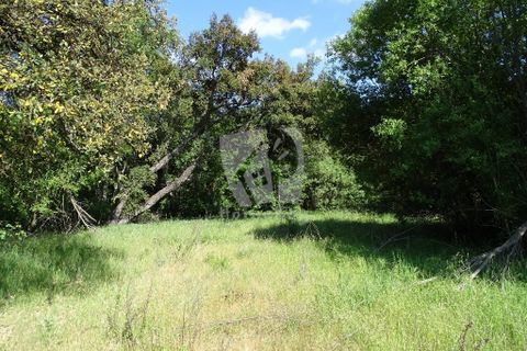 Helårsgrund i Castelo Branco, Castelo Branco, Castelo Branco - € 59.000 | Ref: H785 - foto 38