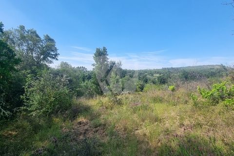 Helårsgrund i Castelo Branco, Castelo Branco, Castelo Branco - € 59.000 | Ref: H785 - foto 42