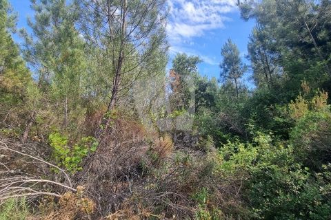 Helårsgrund i Castelo Branco, Castelo Branco, Castelo Branco - € 59.000 | Ref: H785 - foto 43