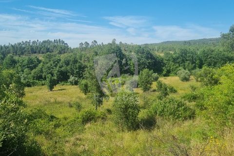 Helårsgrund i Castelo Branco, Castelo Branco, Castelo Branco - € 59.000 | Ref: H785 - foto 44