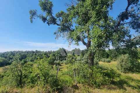 Helårsgrund i Castelo Branco, Castelo Branco, Castelo Branco - € 59.000 | Ref: H785 - foto 47