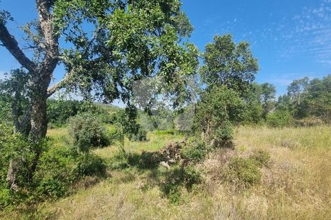 Helårsgrund i Castelo Branco, Castelo Branco, Castelo Branco - € 59.000 | Ref: H785 - foto 48