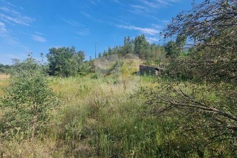 Helårsgrund i Castelo Branco, Castelo Branco, Castelo Branco - € 15.000 | Ref: H787 - foto 5