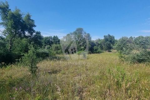 Helårsgrund i Castelo Branco, Castelo Branco, Castelo Branco - € 15.000 | Ref: H787 - foto 6