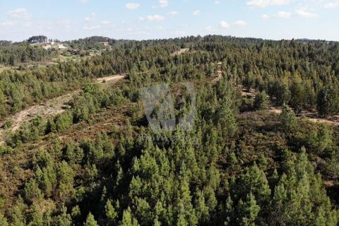 Helårsgrund i Castelo Branco, Castelo Branco, Castelo Branco - € 15.000 | Ref: H787 - foto 11