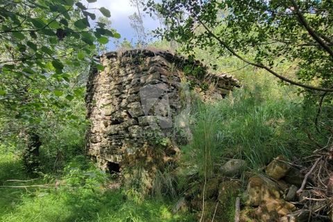 Helårsgrund i Castelo Branco, Castelo Branco, Castelo Branco - € 11.500 | Ref: H784 - foto 4
