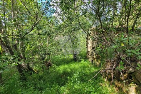 Helårsgrund i Castelo Branco, Castelo Branco, Castelo Branco - € 11.500 | Ref: H784 - foto 7