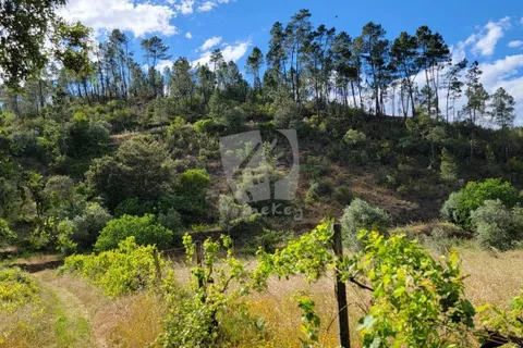 Helårsgrund i Castelo Branco, Castelo Branco, Castelo Branco - € 11.500 | Ref: H784 - foto 13