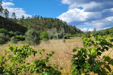 Helårsgrund i Castelo Branco, Castelo Branco, Castelo Branco - € 11.500 | Ref: H784 - foto 14