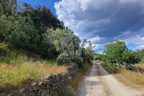 Helårsgrund i Castelo Branco, Castelo Branco, Castelo Branco - € 11.500 | Ref: H784 - foto 15