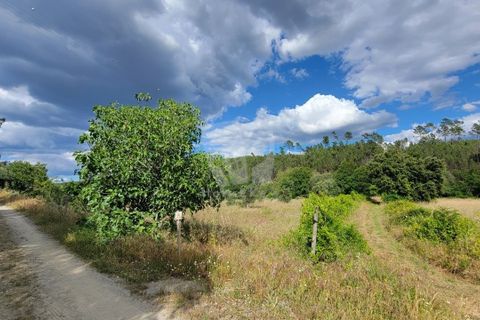 Helårsgrund i Castelo Branco, Castelo Branco, Castelo Branco - € 11.500 | Ref: H784 - foto 16