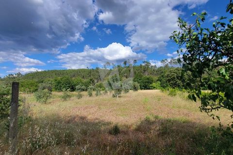 Helårsgrund i Castelo Branco, Castelo Branco, Castelo Branco - € 11.500 | Ref: H784 - foto 17