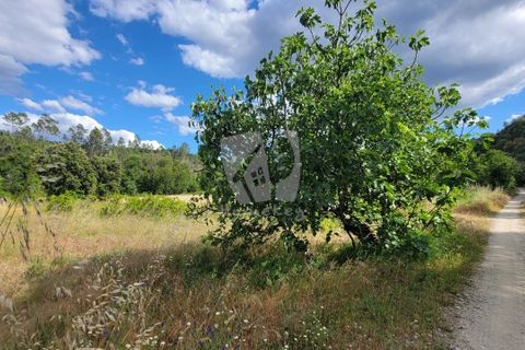 Helårsgrund i Castelo Branco, Castelo Branco, Castelo Branco - € 11.500 | Ref: H784 - foto 18