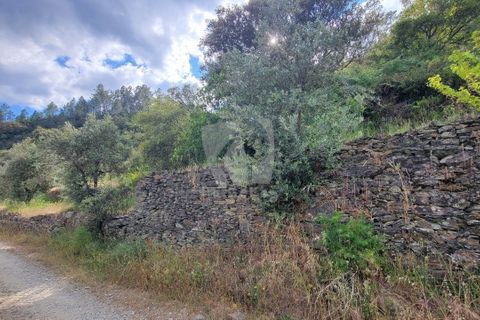 Helårsgrund i Castelo Branco, Castelo Branco, Castelo Branco - € 11.500 | Ref: H784 - foto 19