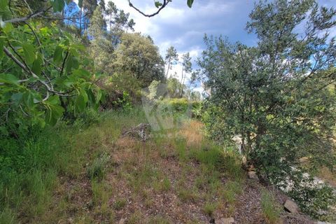 Helårsgrund i Castelo Branco, Castelo Branco, Castelo Branco - € 11.500 | Ref: H784 - foto 20