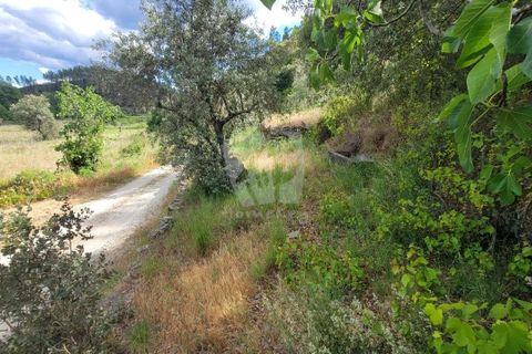 Helårsgrund i Castelo Branco, Castelo Branco, Castelo Branco - € 11.500 | Ref: H784 - foto 23