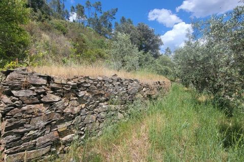 Helårsgrund i Castelo Branco, Castelo Branco, Castelo Branco - € 11.500 | Ref: H784 - foto 26