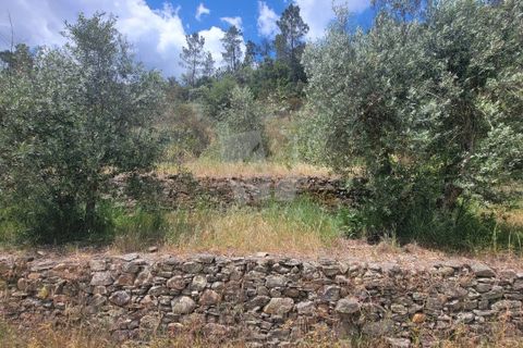 Helårsgrund i Castelo Branco, Castelo Branco, Castelo Branco - € 11.500 | Ref: H784 - foto 27