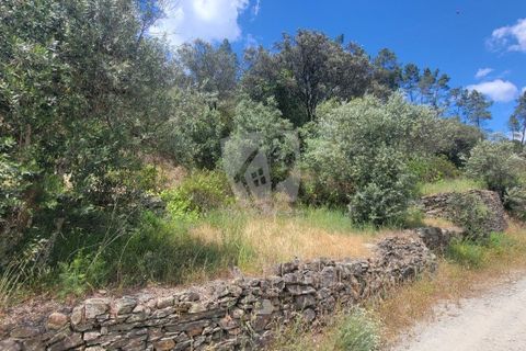 Helårsgrund i Castelo Branco, Castelo Branco, Castelo Branco - € 11.500 | Ref: H784 - foto 28
