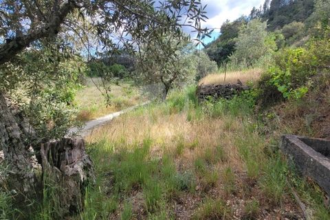Helårsgrund i Castelo Branco, Castelo Branco, Castelo Branco - € 11.500 | Ref: H784 - foto 29
