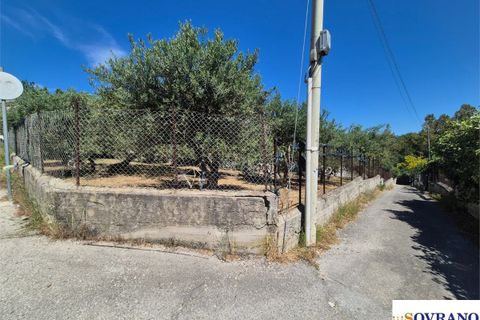 Terra a Carini, Palermo, Carini - € 55.000 | Ref: 67/26 - foto 3