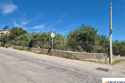 Terra a Carini, Palermo, Carini - € 55.000 | Ref: 67/26 - foto 4