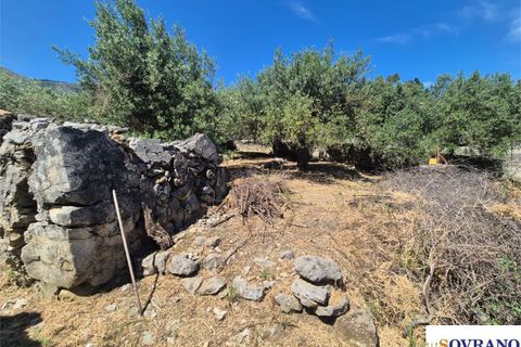Terra a Carini, Palermo, Carini - € 55.000 | Ref: 67/26 - foto 5