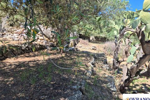 Terra a Carini, Palermo, Carini - € 55.000 | Ref: 67/26 - foto 6