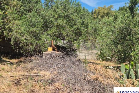 Terra a Carini, Palermo, Carini - € 55.000 | Ref: 67/26 - foto 7