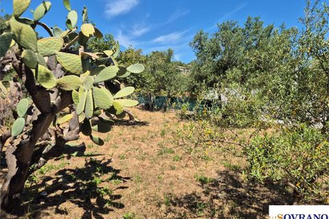 Terra a Carini, Palermo, Carini - € 55.000 | Ref: 67/26 - foto 8
