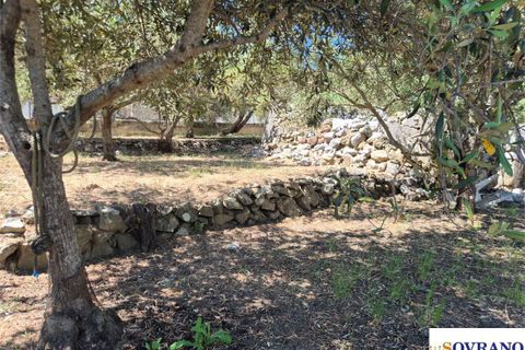 Terra a Carini, Palermo, Carini - € 55.000 | Ref: 67/26 - foto 9