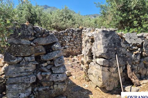 Terra a Carini, Palermo, Carini - € 55.000 | Ref: 67/26 - foto 10