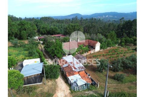 Villa a Arganil, Coimbra, Arganil - € 90.000 | Ref: SHJP334 - foto 22