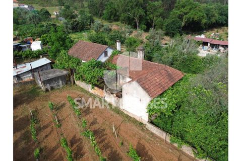 Villa i Arganil, Coimbra, Arganil - € 90 000 | Ref: SHJP334 - foto 26