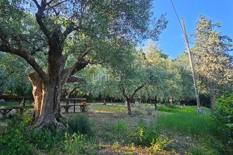Villa i Jesi, Ancona, Jesi - € 350.000 | Ref: J3083 - foto 5