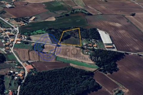 Helårsgrund i Vila do Conde, Porto, Vila do Conde - € 3.990.000 | Ref: 1129061 - foto 1