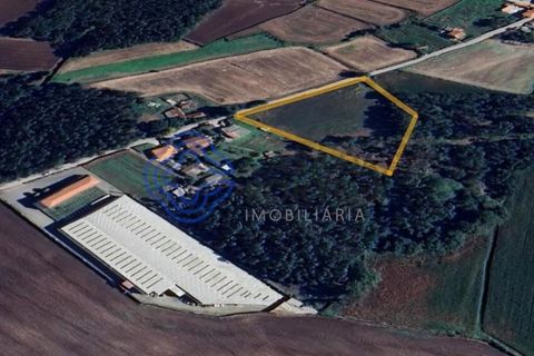 Helårsgrund i Vila do Conde, Porto, Vila do Conde - € 3.990.000 | Ref: 1129061 - foto 2