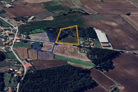 Helårsgrund i Vila do Conde, Porto, Vila do Conde - € 3.990.000 | Ref: 1129061 - foto 4