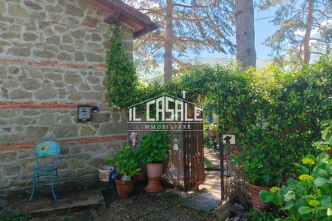 Villa a Londa, Florence, Londa - € 95.000 | Ref: 2283 - foto 2