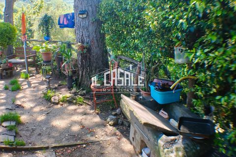 Villa a Londa, Florence, Londa - € 95.000 | Ref: 2283 - foto 29